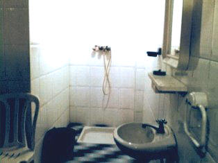 douche and toilet