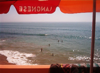 wp7f656221.png