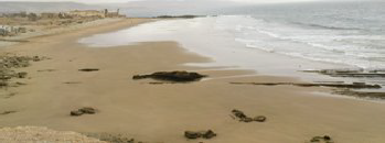 bouirdn_killer_beach_taghazout