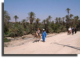 taxi tours taroudant tiout south Morocco taxi tours taroudant tiout south Morocco
