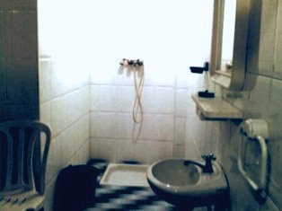 douche and toilet